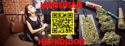 ALPHA PVP Малгобек