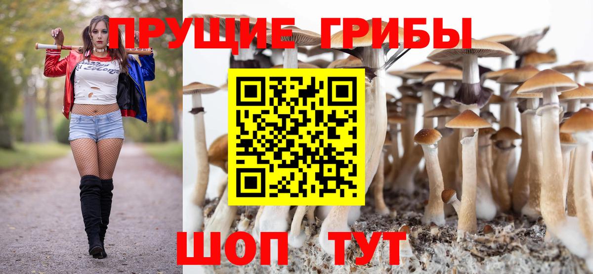 Галлюциногенные грибы прущие грибы  Вход с VPN  Холмск 
