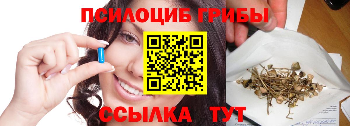 Галлюциногенные грибы мицелий Холмск